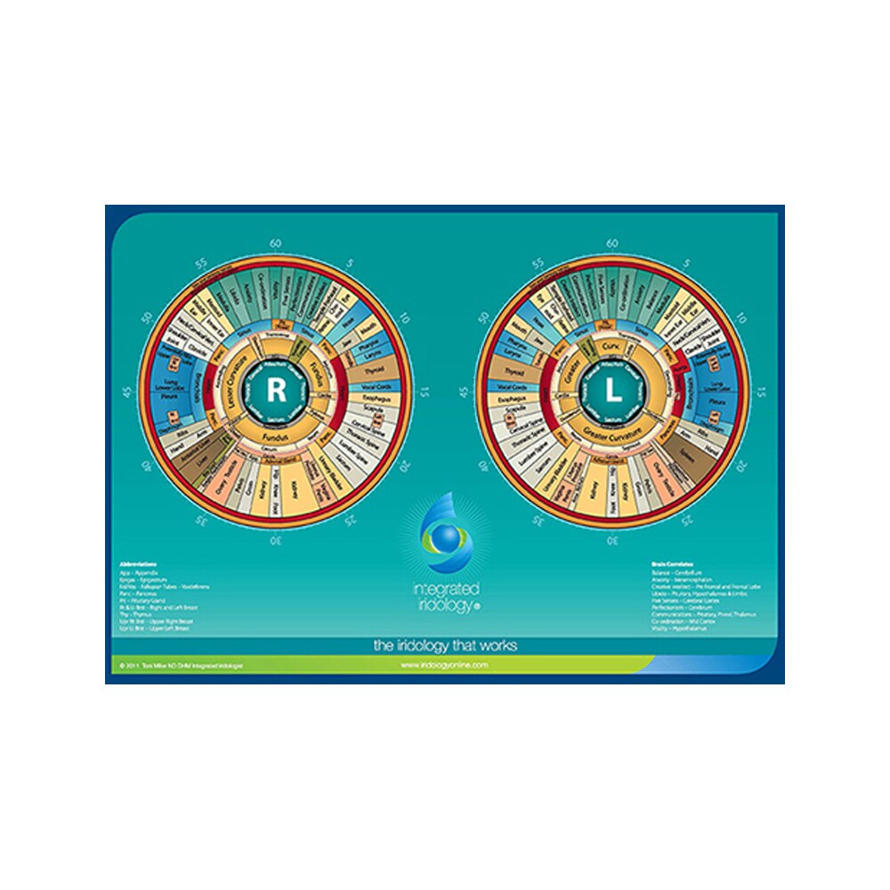 Integrated Iridology Chart